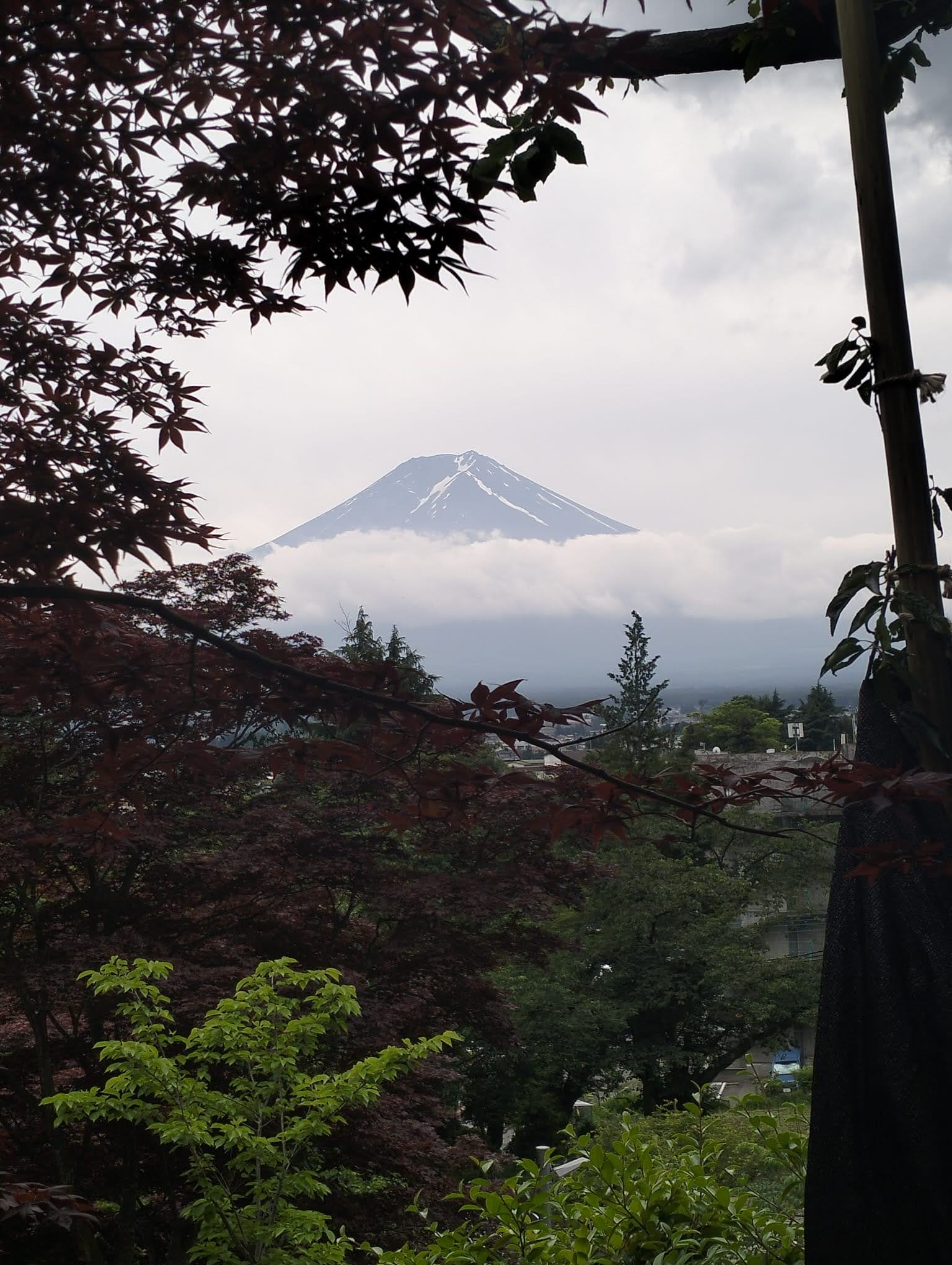 img 20250614 wa0000